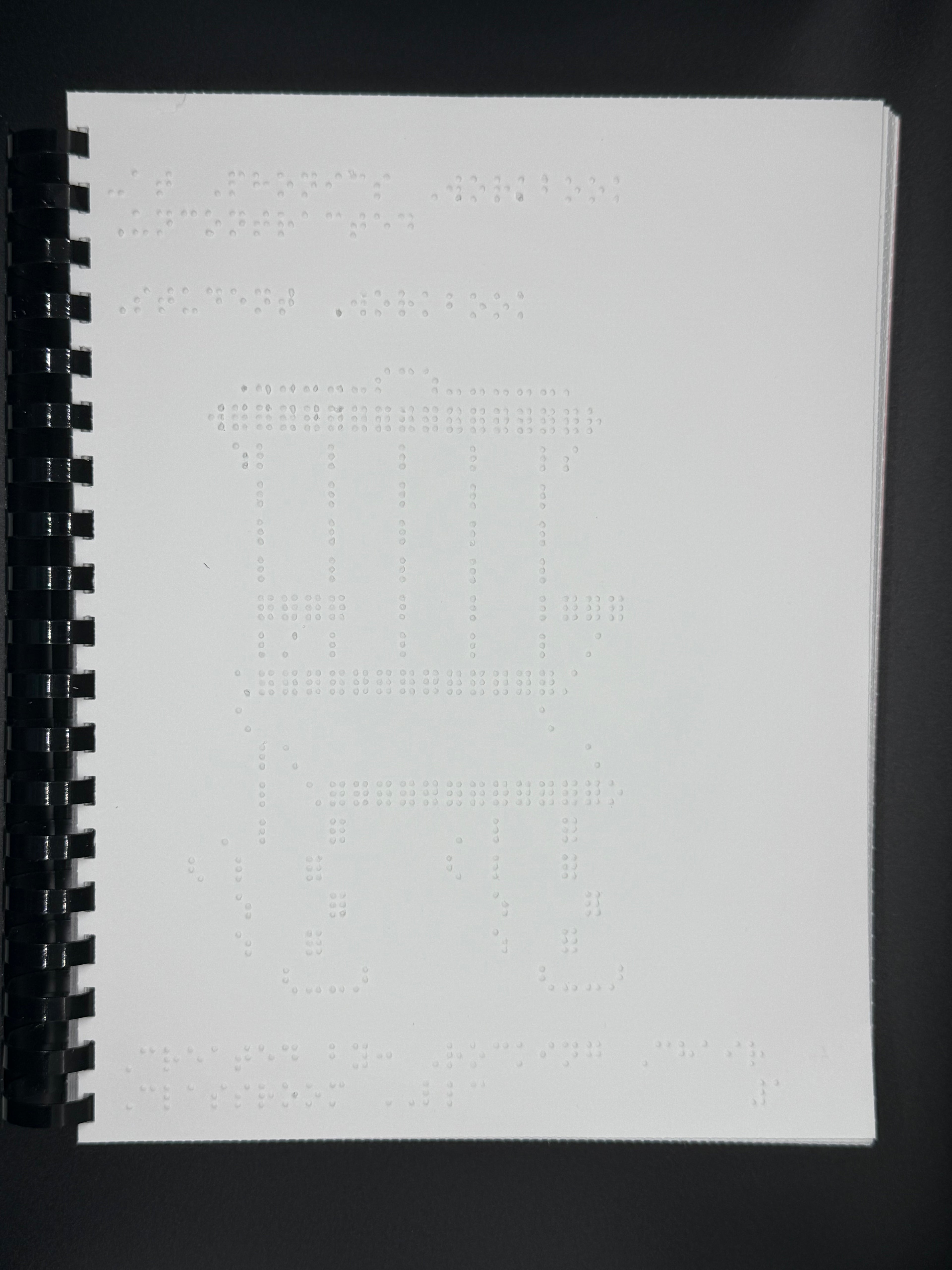 Braille Phonics: Series 1: Book 1 -at, -it, -et (uncontracted)