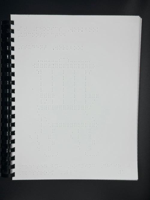 Braille Phonics: Series 1: Book 1 -at, -it, -et (uncontracted)
