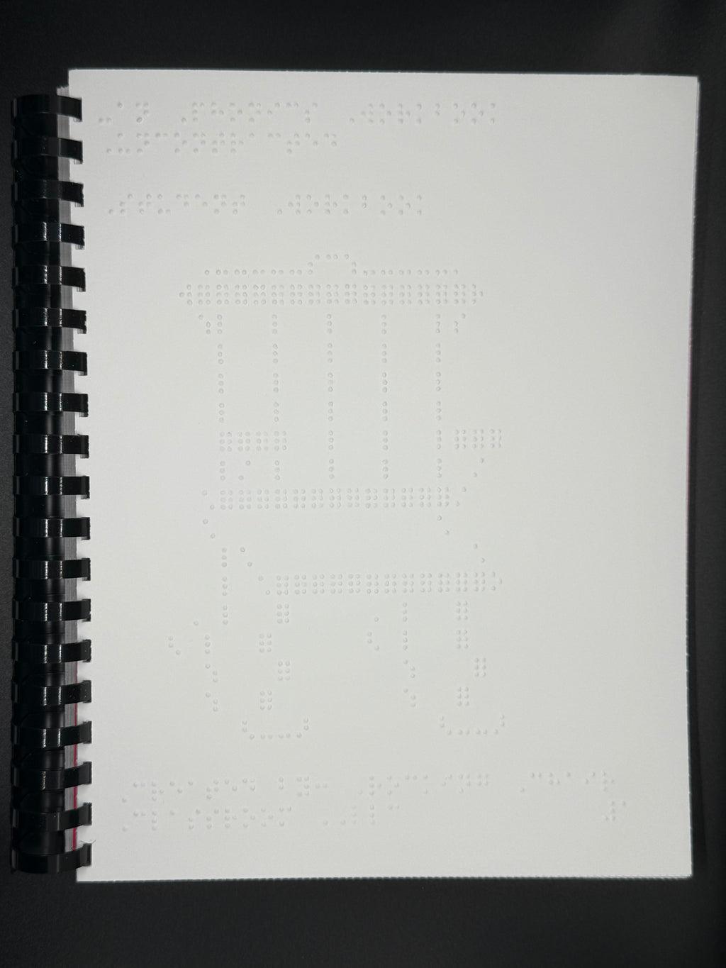 Braille Phonics: Series 1: Book 2 -an, -in, -en (uncontracted)
