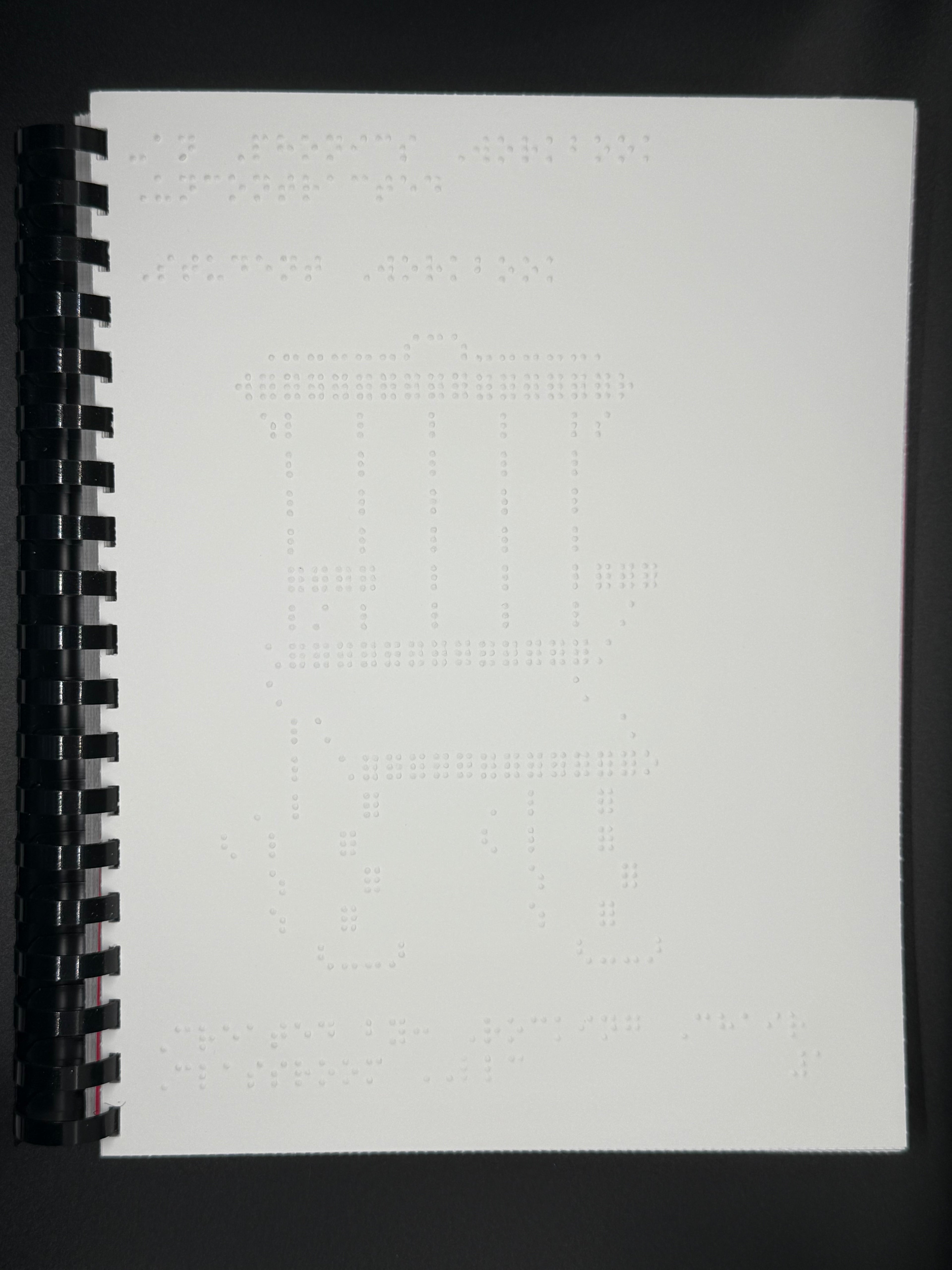 Braille Phonics: Series 1: Book 2 -an, -in, -en (uncontracted)