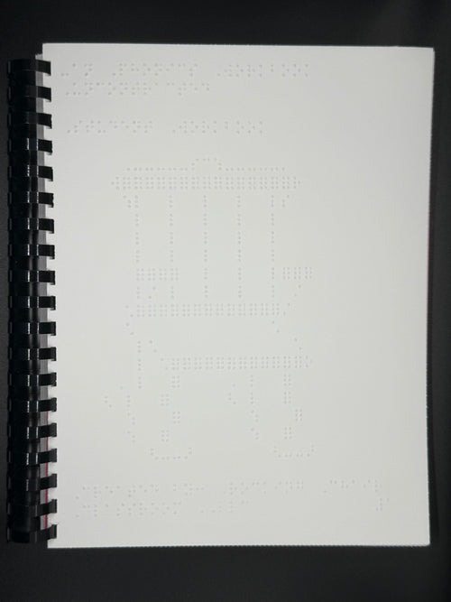 Braille Phonics: Series 1: Book 2 -an, -in, -en (uncontracted)